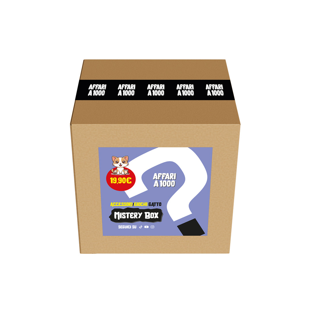 Mystery Box Gatto